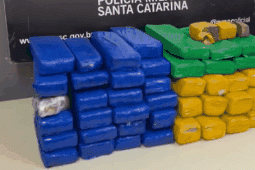 Vídeo: PM apreende aproximadamente 40 quilos de maconha em Criciúma