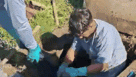 Vídeo: lona com extensão equivalente a prédio de dez andares é retirada de boca de lobo em Cocal do Sul