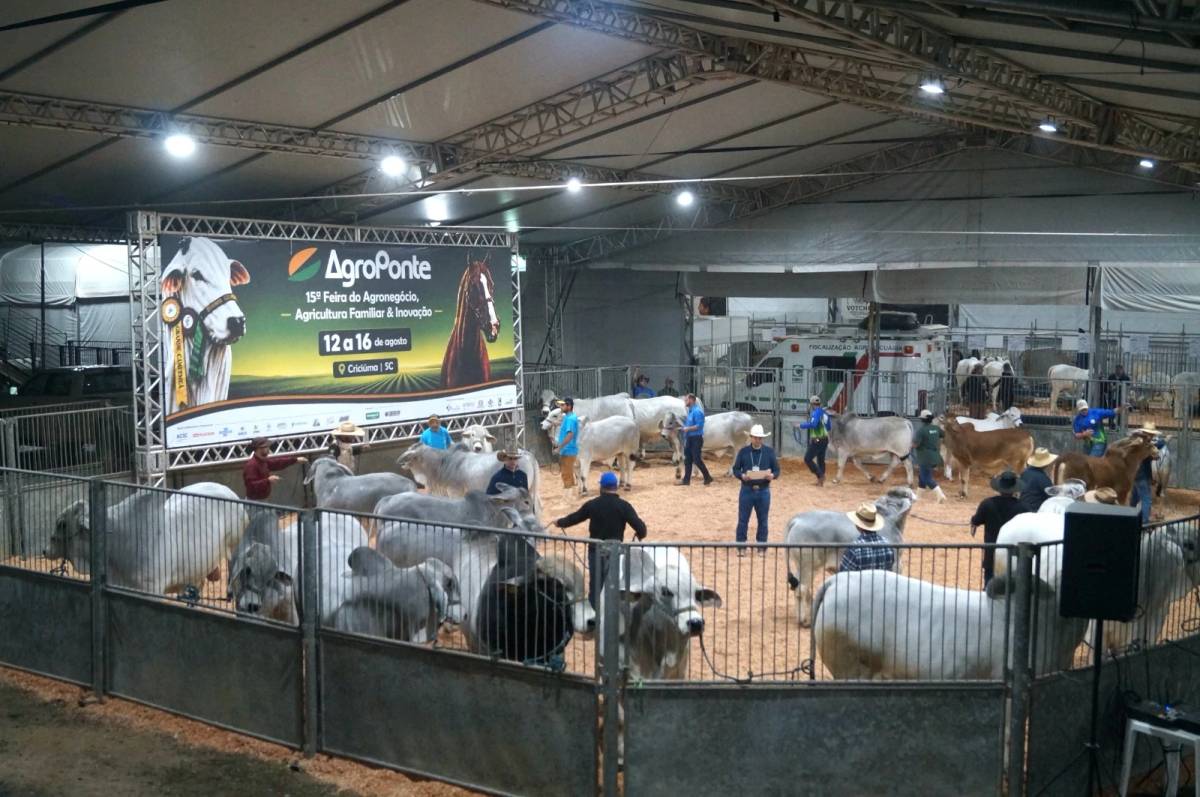 Feira AgroPonte encerra 15ª edição com público próximo de 110 mil visitantes — foto 4