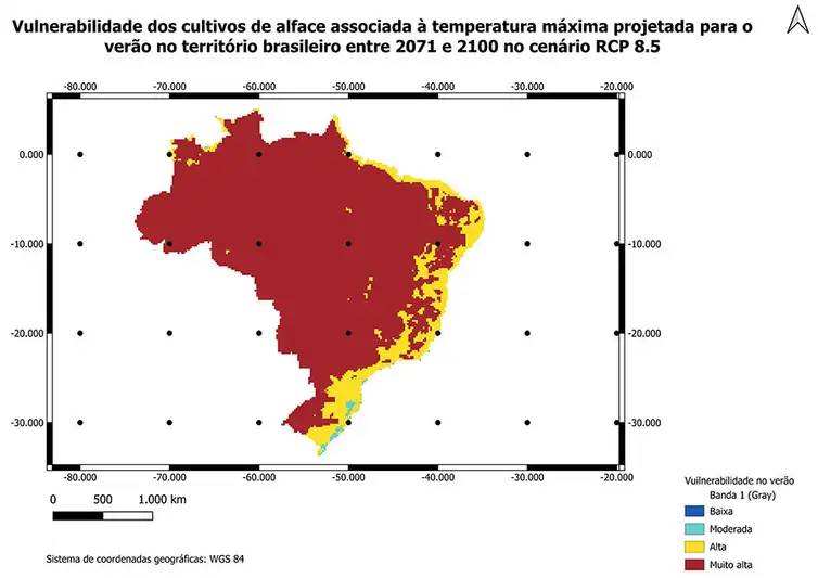 Brasília (DF), 08/09/2025 - Aquecimento global pode tornar inviável cultivo de alface no campo. Foto: Embrapa/Divulgação