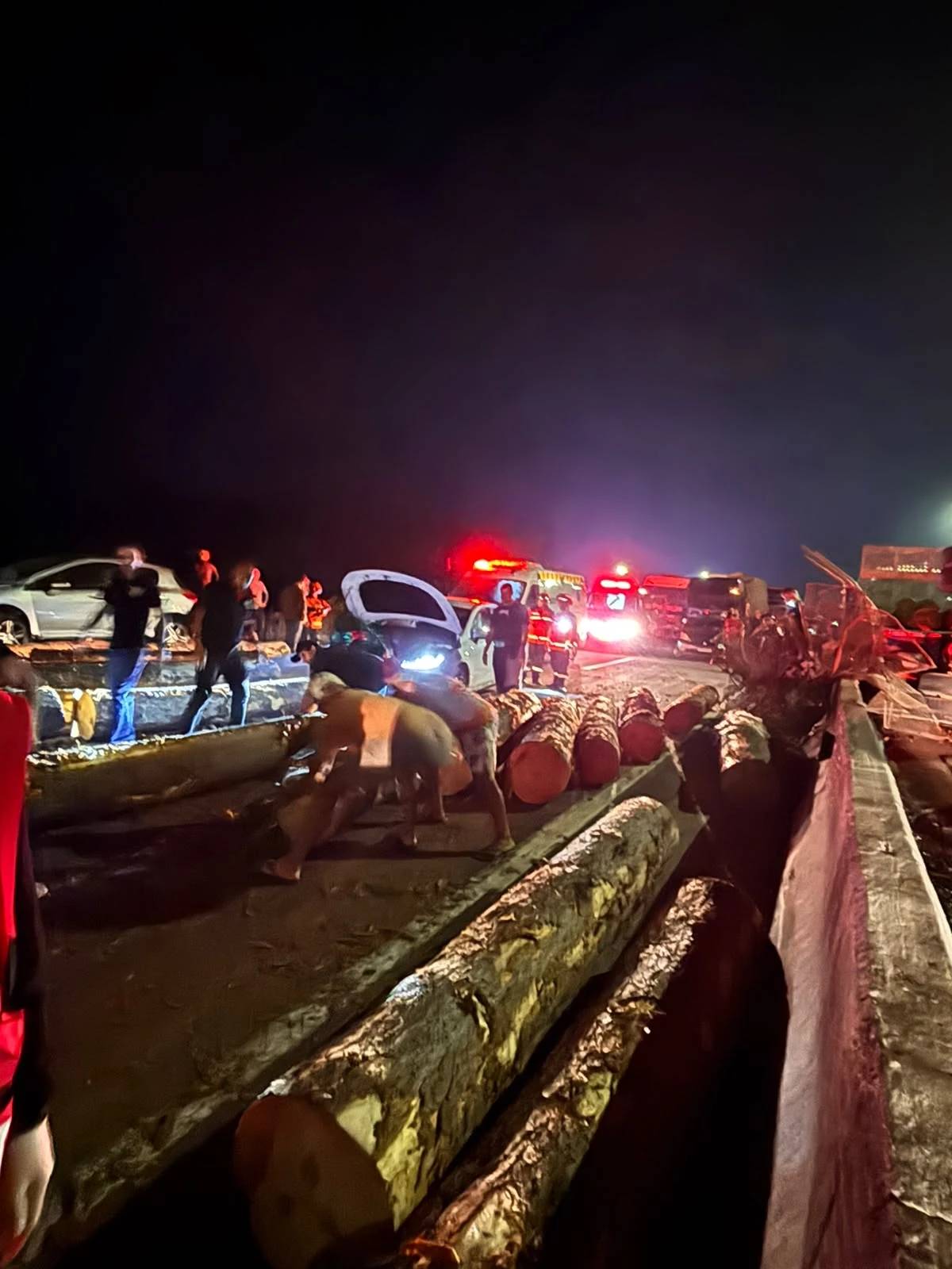 Fotos e vídeo: acidente com carga de toras bloqueia BR-101 no Sul de SC — foto 2