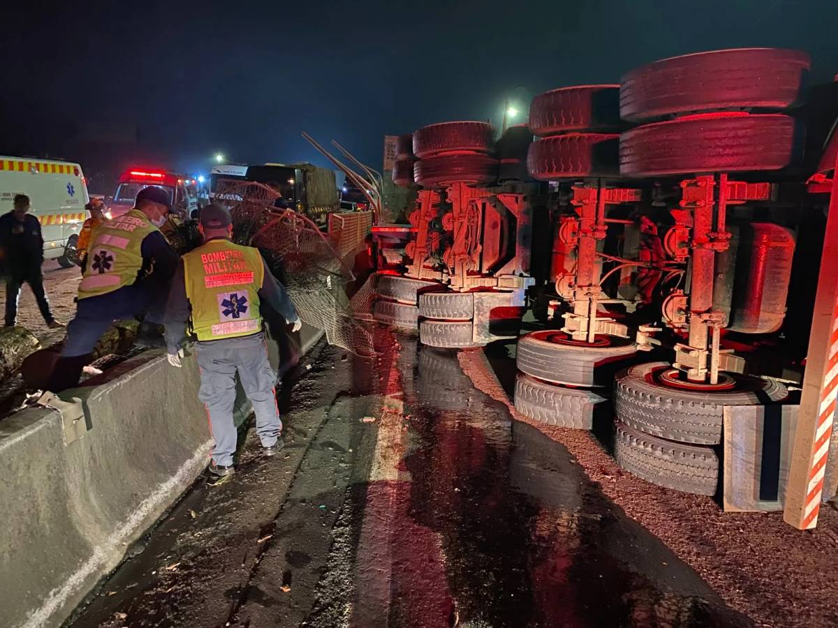 Fotos e vídeo: acidente com carga de toras bloqueia BR-101 no Sul de SC — foto 16