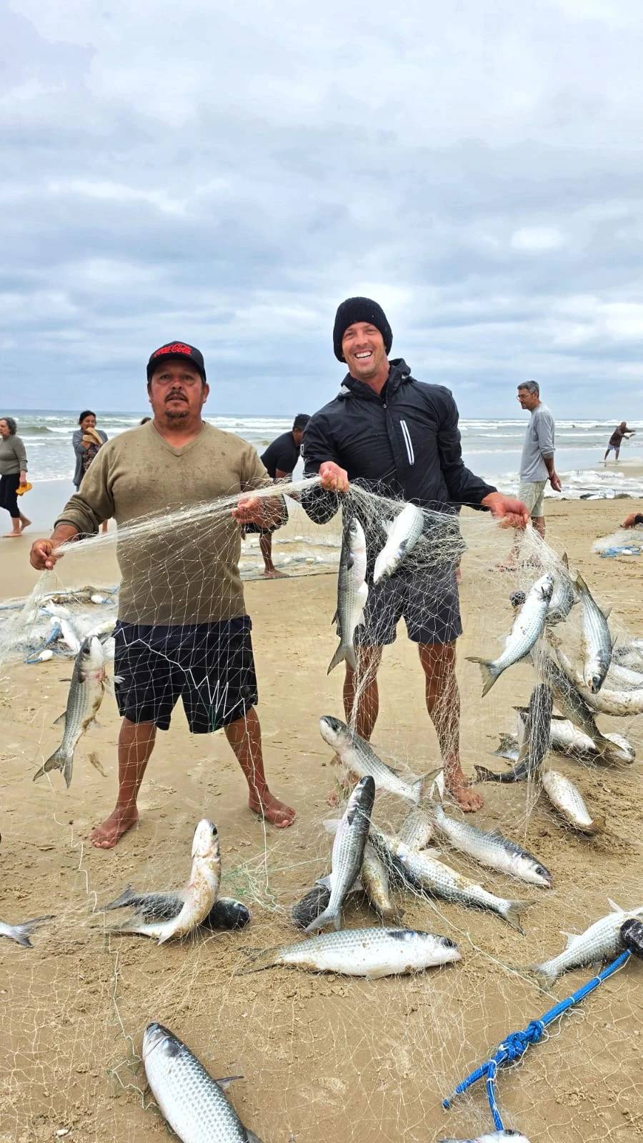 Mais de quatro toneladas de tainha são capturadas na Praia do Camacho; veja fotos e vídeo — foto 5