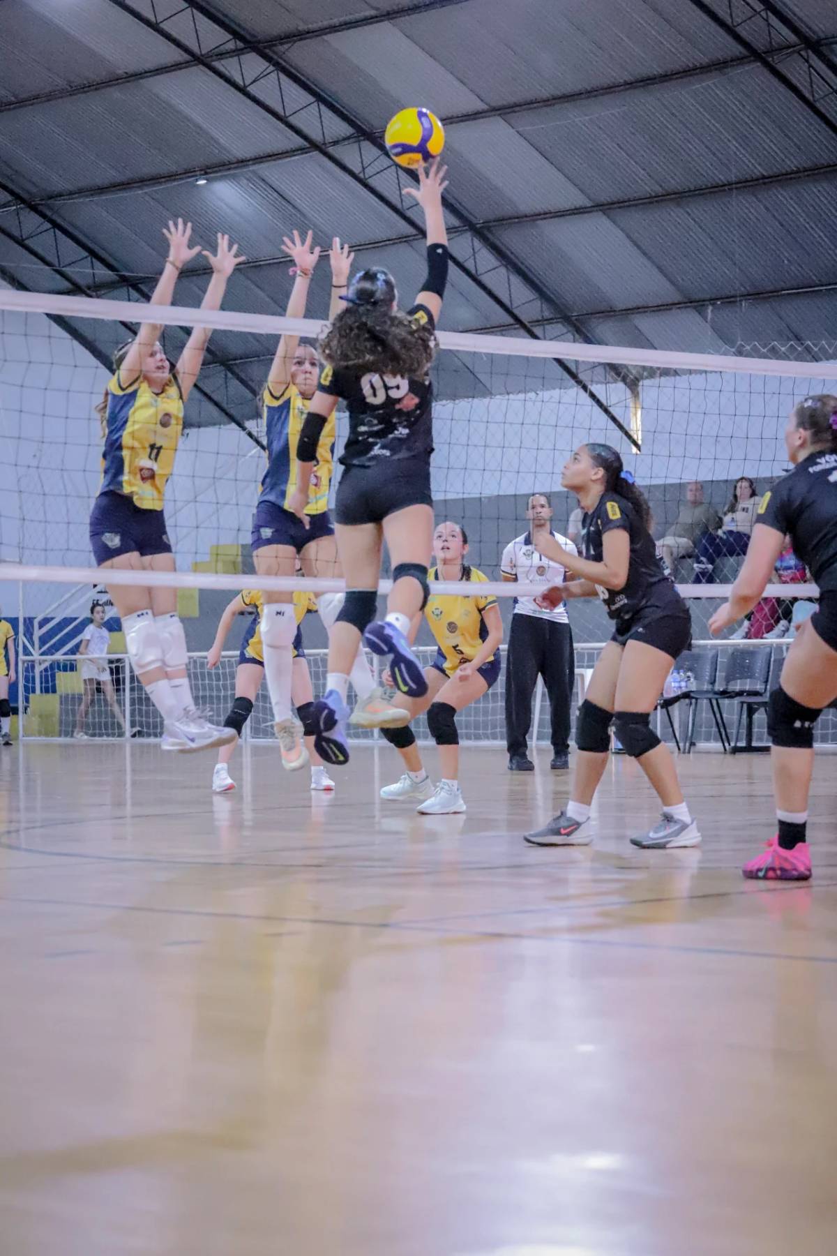 Vôlei de Forquilhinha conquista vitórias em três competições — foto 1