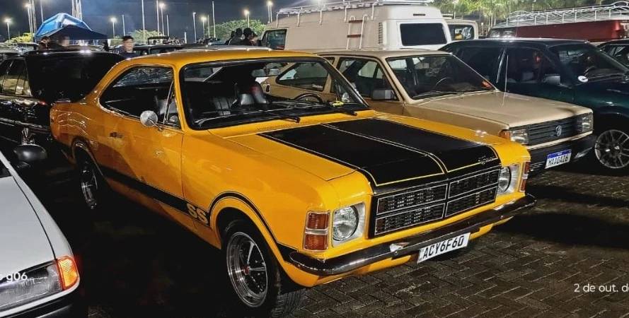 Diferentes marcas e modelos: exposição reúne mais de 230 carros antigos em Criciúma; veja fotos — foto 1