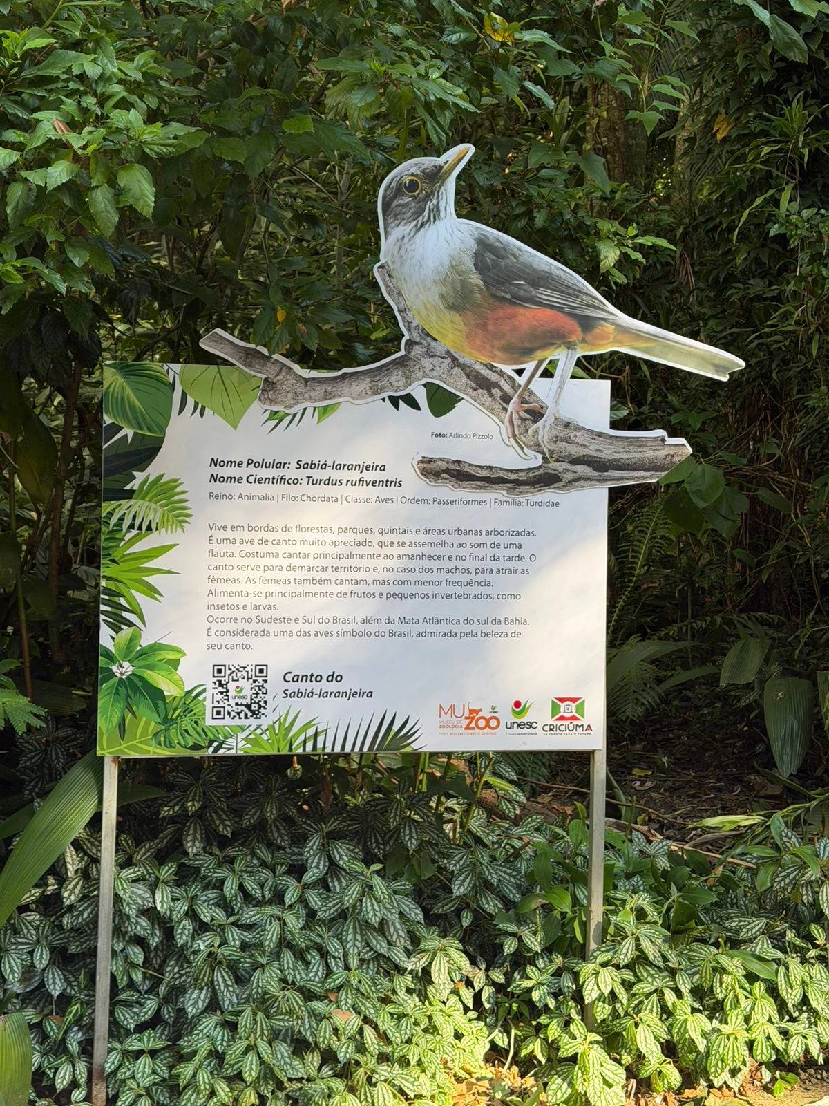Exposição de aves na Gruta Nossa Senhora de Lourdes abre na próxima semana em Criciúma — foto 4