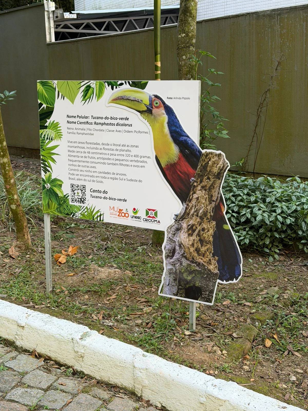 Exposição de aves na Gruta Nossa Senhora de Lourdes abre na próxima semana em Criciúma — foto 1