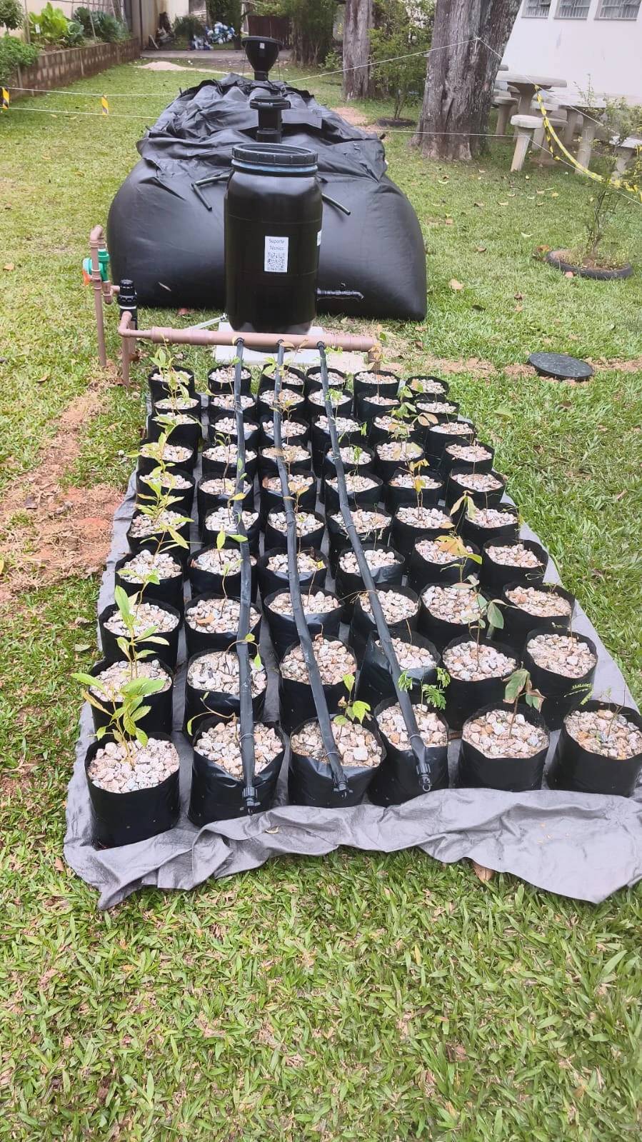 Escolas de Criciúma recebem projeto que transforma resíduos da merenda em energia e adubo orgânico — foto 3