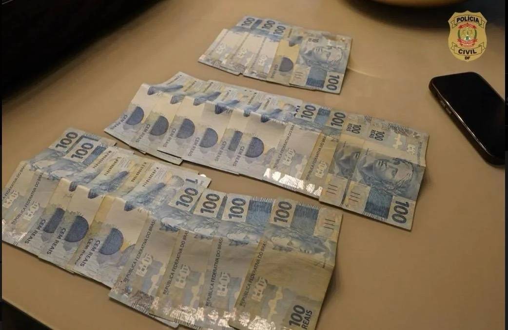 Morador de Criciúma é preso em megaoperação contra fabricação e venda clandestina de anabolizantes — foto 4