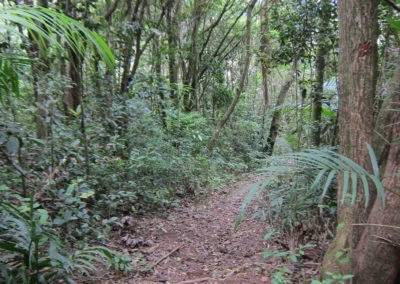 Antigo reservatório de abastecimento vira ponto turístico no Sul de SC — foto 1