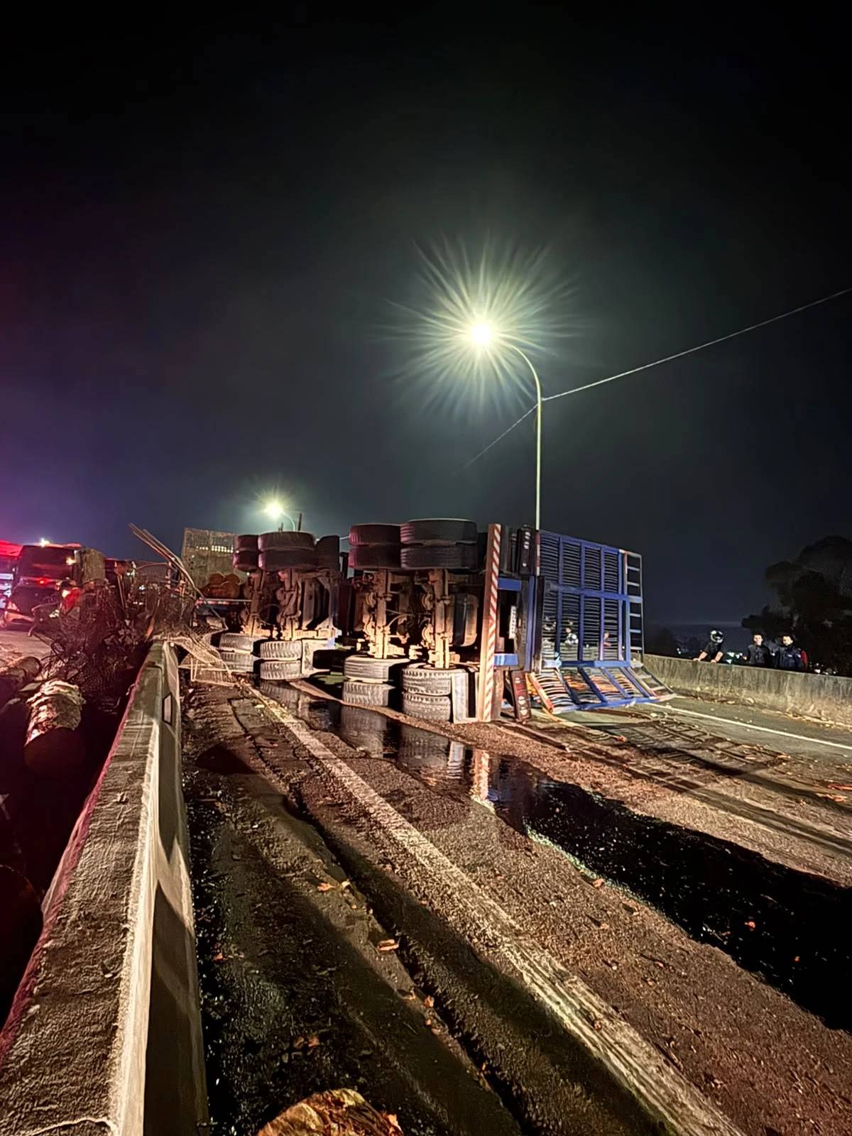 Fotos e vídeo: acidente com carga de toras bloqueia BR-101 no Sul de SC — foto 1