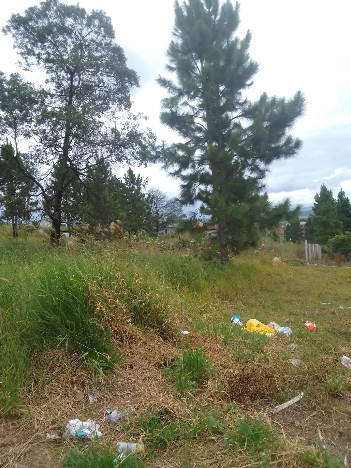 Moradores de loteamento sofrem com problemas de infraestrutura em Içara — foto 2
