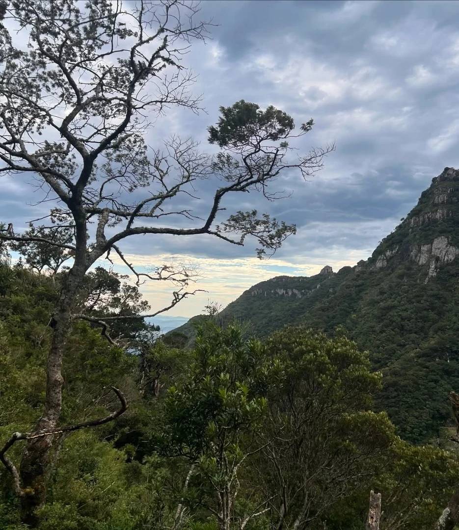 Serra do Rio do Rastro recebe mutirão de limpeza em Lauro Müller — foto 2