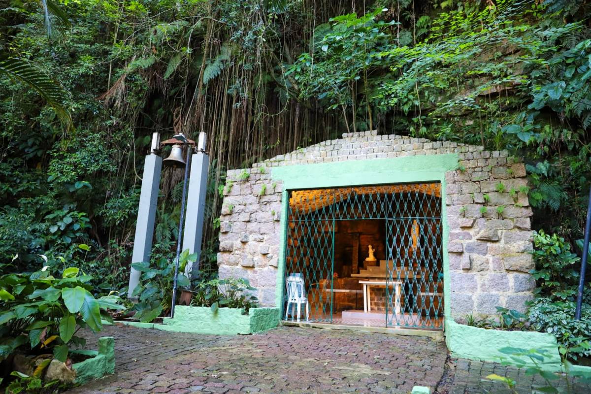 Exposição de aves na Gruta Nossa Senhora de Lourdes abre para visitação em Criciúma — foto 3