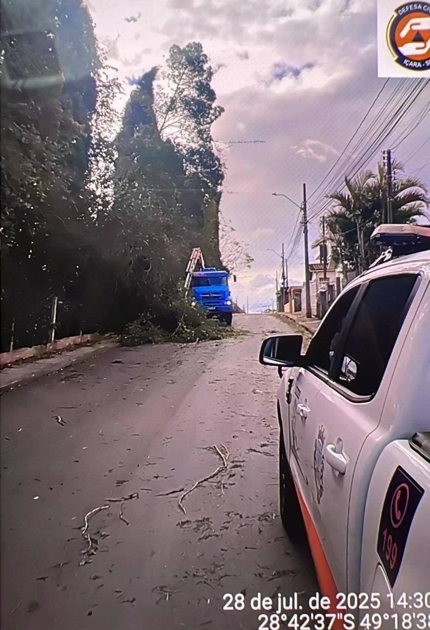 Queda de árvore no bairro Raichaski, em Içara - Foto: Defesa Civil/Divulgação