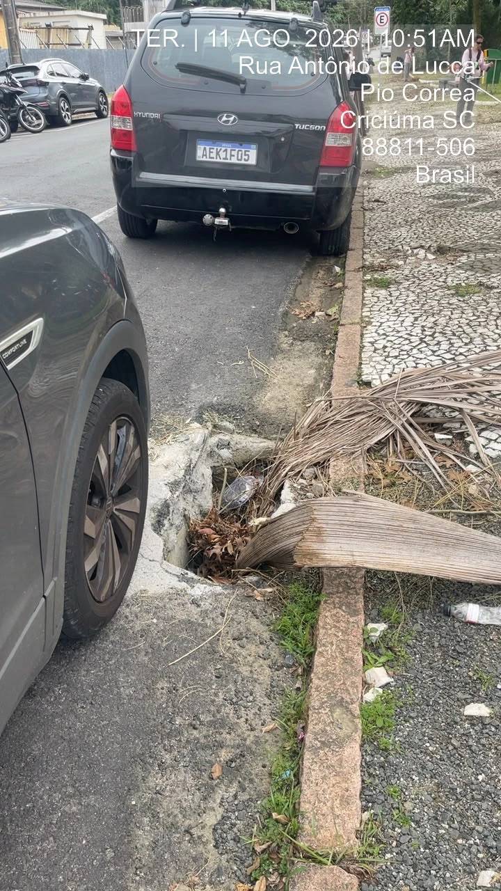 Vereador cobra reconstrução de calçada e manutenção de bocas de lobo em praça de Criciúma; veja fotos — foto 2