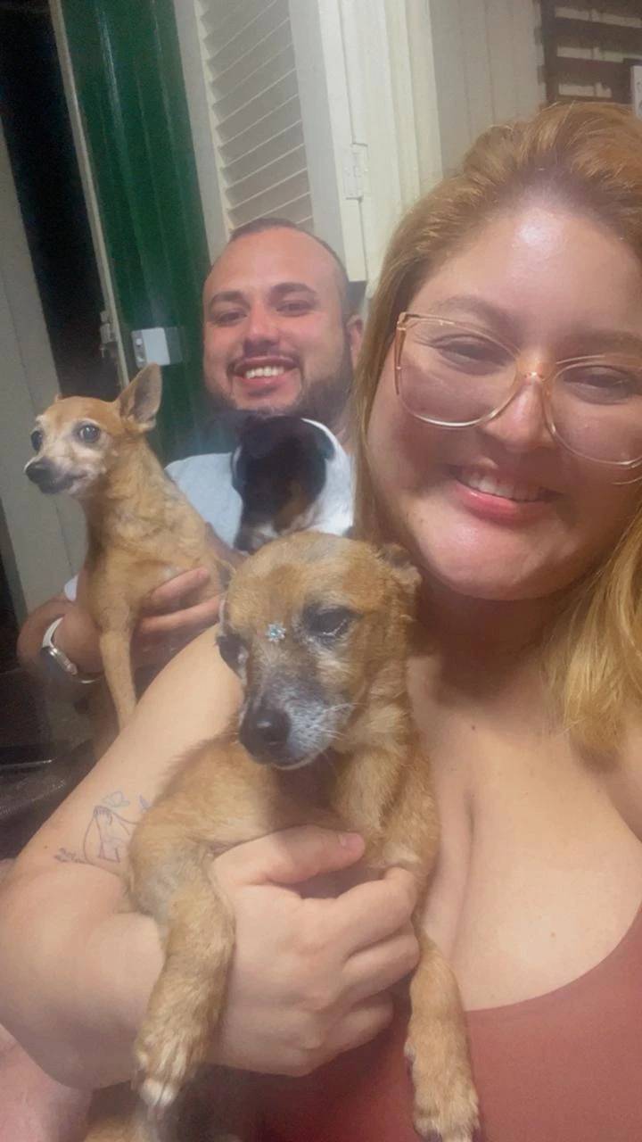 Cachorro abandonado dentro de saco em Criciúma é adotado e ganha novo lar — foto 1