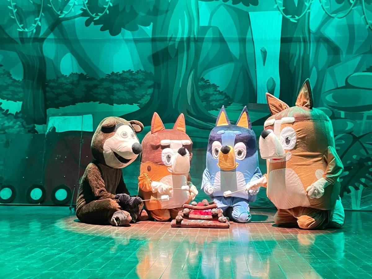 Teatro Elias Angeloni recebe espetáculo infantil educativo em Criciúma — foto 3