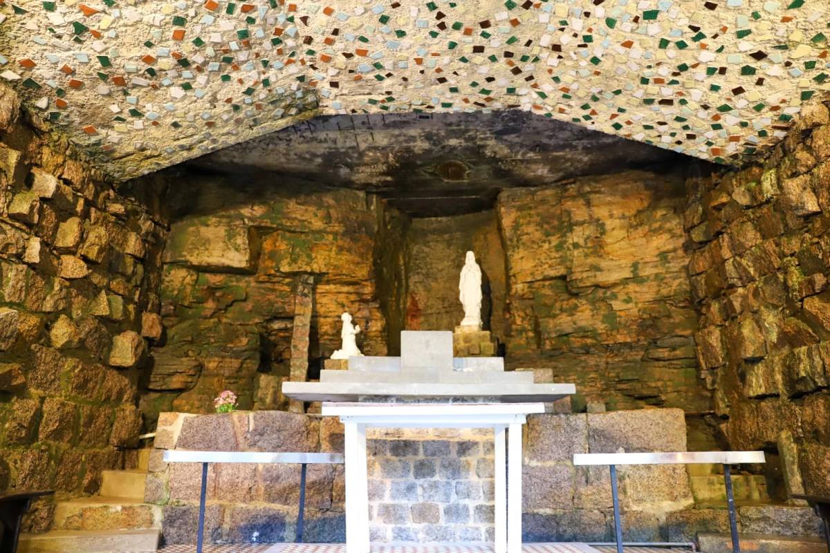 Exposição de aves na Gruta Nossa Senhora de Lourdes abre para visitação em Criciúma — foto 2