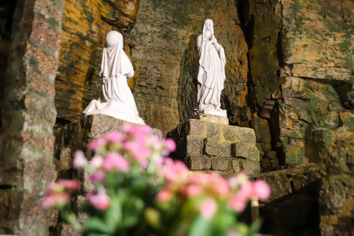 Exposição de aves na Gruta Nossa Senhora de Lourdes abre para visitação em Criciúma — foto 1