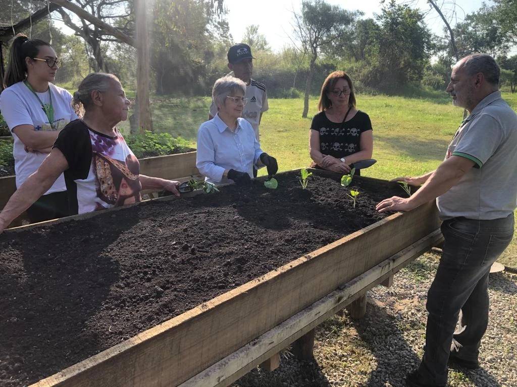 Programa gratuito para a terceira idade está com inscrições abertas no Parque Diamante — foto 1