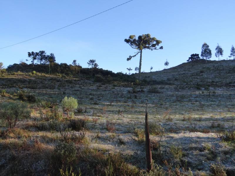 Inverno inicia com temperaturas negativas em Urupema — foto 1