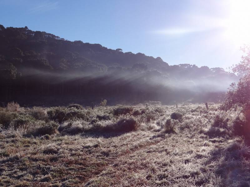 Inverno inicia com temperaturas negativas em Urupema — foto 2