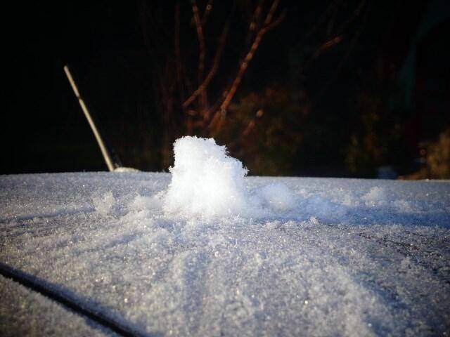 Em São Joaquim, Inverno inicia com geada — foto 1