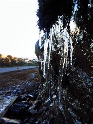 Em São Joaquim, Inverno inicia com geada — foto 14