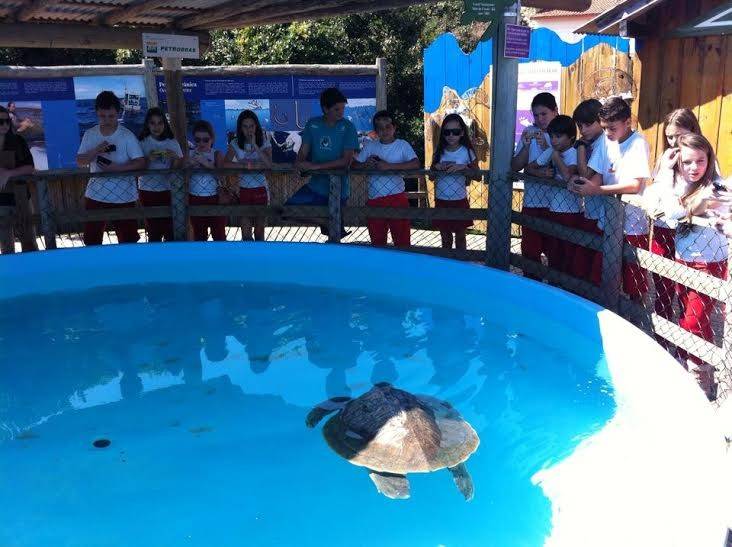 Alunos da Ângelo Zanellato visitam o Projeto Tamar — foto 1