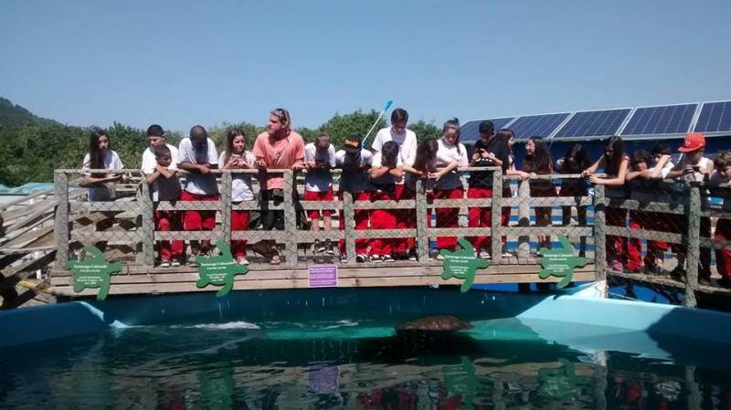 Alunos da Ângelo Zanellato visitam o Projeto Tamar — foto 2