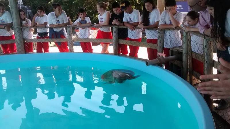 Alunos da Ângelo Zanellato visitam o Projeto Tamar — foto 4