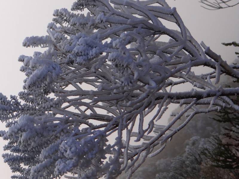 Urupema registra -3°C no amanhecer desta quarta — foto 1