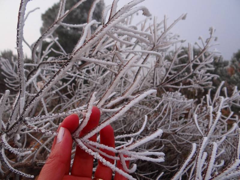 Urupema registra -3°C no amanhecer desta quarta — foto 2