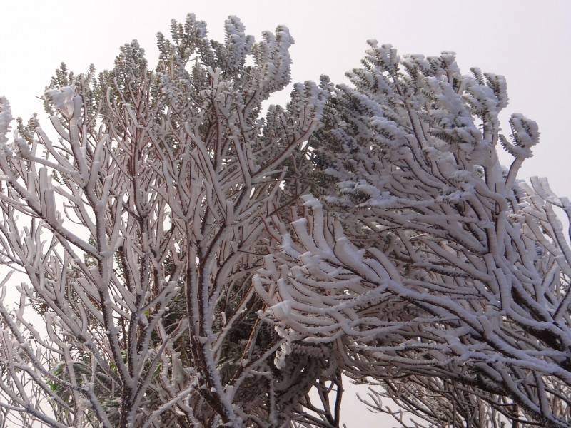 Urupema registra -3°C no amanhecer desta quarta — foto 8