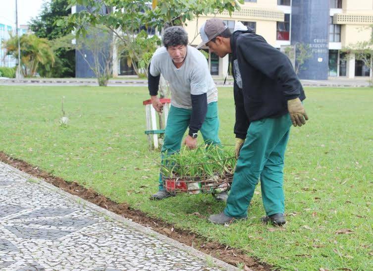 Ajardinamento no Paço Municipal avança para novas etapas — foto 2