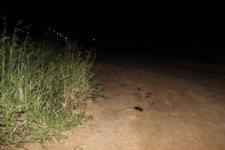 Homem é encontrado morto em via pública no Balneário Rincão — foto 6