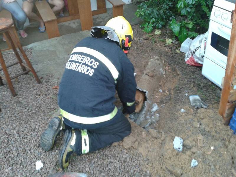 Cachorro fica preso em tubulação — foto 1