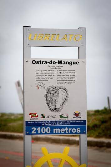 Orla do Mar Grosso recebe placas informativas sobre espécies marinhas — foto 2