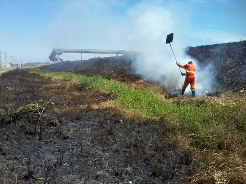 Incêndio em vegetação prejudica visibilidade na BR-101 — foto 1