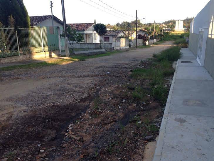 Rua abandonada: Chuva e mato causam transtornos em estrada há mais de 40 anos — foto 1