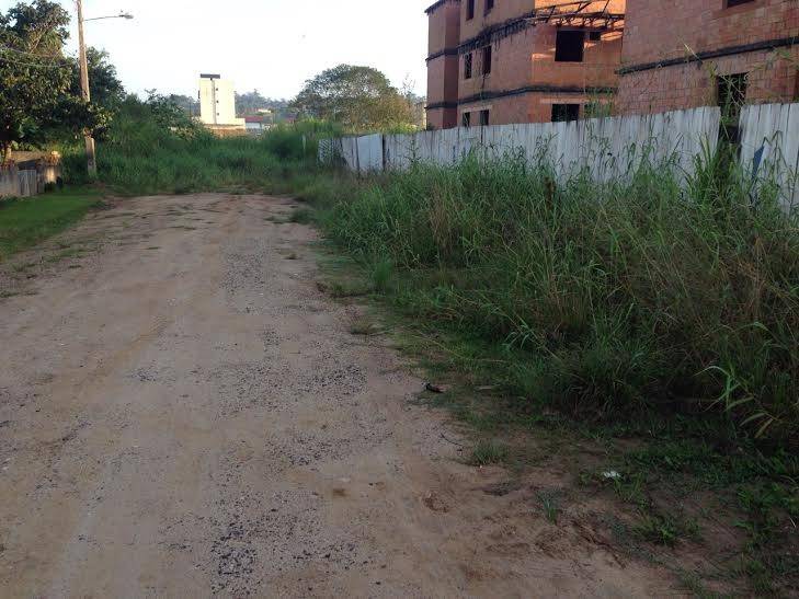 Rua abandonada: Chuva e mato causam transtornos em estrada há mais de 40 anos — foto 2