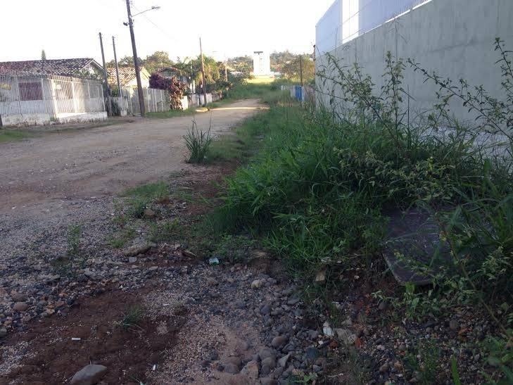 Rua abandonada: Chuva e mato causam transtornos em estrada há mais de 40 anos — foto 5