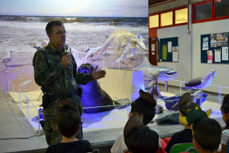 Museu de Zoologia da Unesc recebe primeiro exemplar de leão-marinho — foto 1