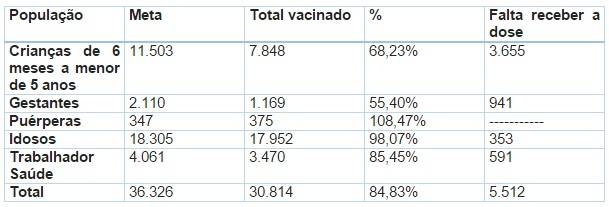 Vacina contra a gripe: Crianças e gestantes estão com número abaixo da meta — foto 1