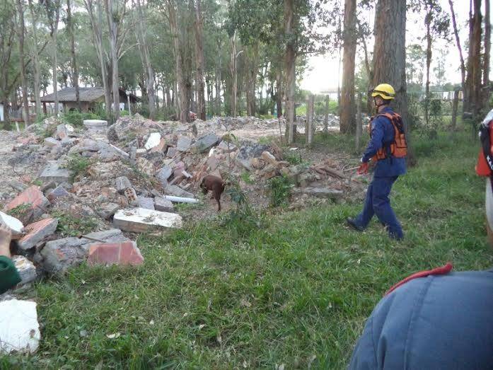 Bombeiros participam de treinamento de busca e resgate em estruturas colapsadas — foto 1