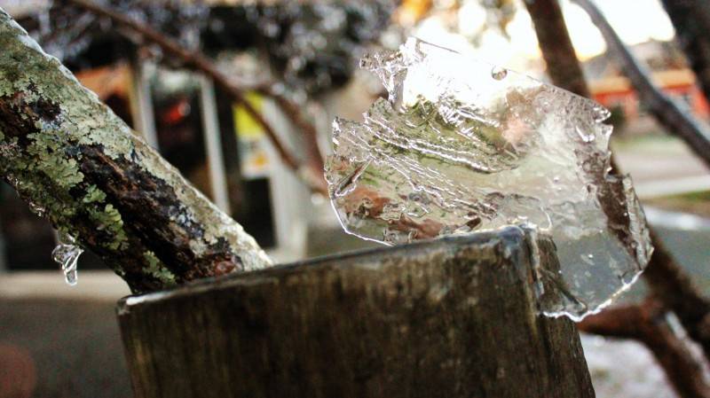 São Joaquim registra geada e congelamentos a -4ºC — foto 1