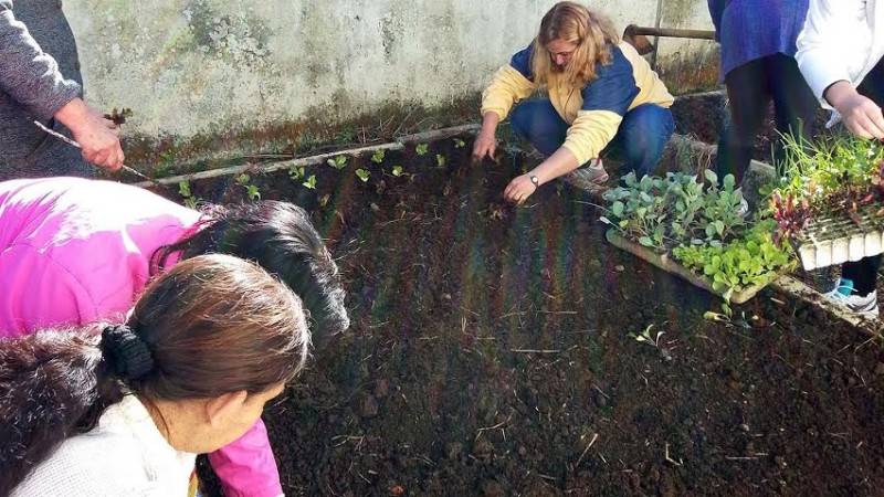 Grupo do Cras garante alimentação saudável com plantio de horta — foto 1