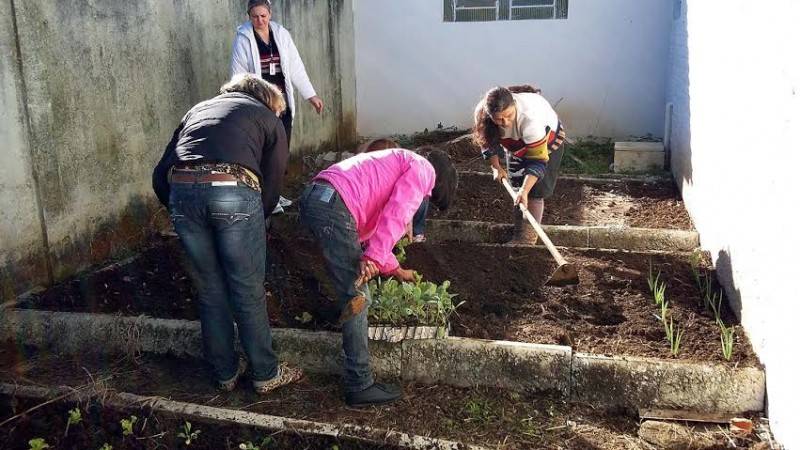 Grupo do Cras garante alimentação saudável com plantio de horta — foto 2