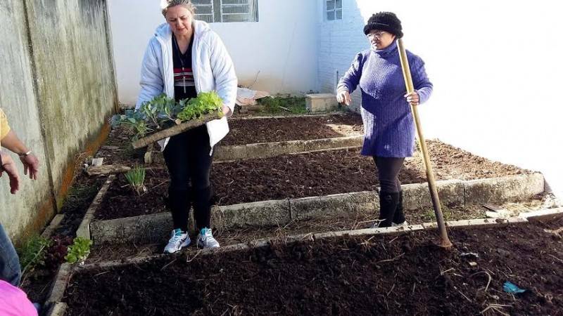 Grupo do Cras garante alimentação saudável com plantio de horta — foto 3